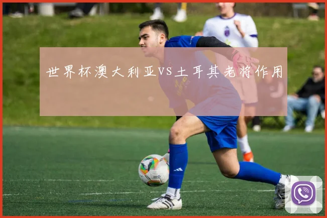世界杯澳大利亚vs土耳其老将作用