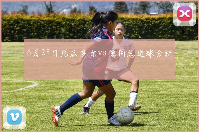 6月25日厄瓜多尔vs德国总进球分析