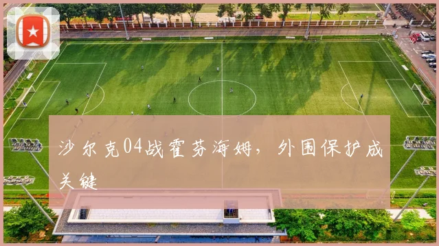 沙尔克04战霍芬海姆，外围保护成关键