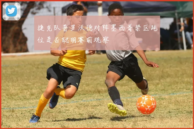捷克队普罗沃德对阵墨西哥禁区跑位是否聪明赛前观察